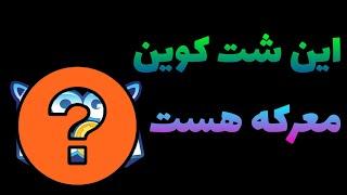 این شت کوین با بقیه شت کوین ها فرق داره|آیا این شت کوین میتونه شما رو میلیاردر کنه؟