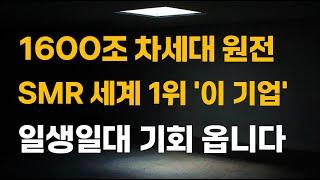 [주식] 1600조 차세대 원전 SMR 세계 1위 '이 기업' 일생일대 기회 옵니다.[6월주식전망, 두산에너빌리티, 테라파워, SMR관련주, 뉴스케일파워, 원전대장주]