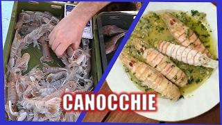 Canocchie sbollentate con salsa di limone | Squilla mantis - Preparing and cooking