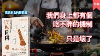 怎麼吃才能啟動人類不會胖的機制？｜《美味陷阱》｜文森說書