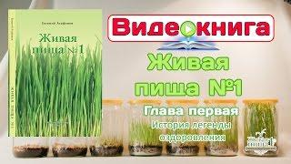 Евгений Агафонов, Видео-книга "Живая пища №1". Глава 1 "История легенды оздоровления" (видео 37)