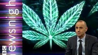 Can Cannabis oil reduce cancerous tumors?  - Newsnight