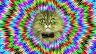 5 OPTICAL ILLUSIONS! YOU WILL NOT BELIEVE YOUR EYES! OPTICAL ILLUSION!
