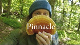 Day 90 | The Pinnacle of Pennsylvania | Appalachian Trail Thru Hike Vlog