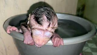 P1TY NEWBORN BABY MONKEY BATH