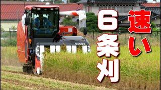 Kubota Combine DR6130S  DIONITH