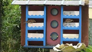 Refuge LPO.  Ligue pour la protection des Oiseau   Côtes d'Armor