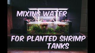 Mixing and preparing water for planted shrimp tanks: Part 1 caridina