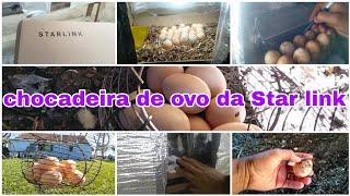 Star Link Egg Incubator