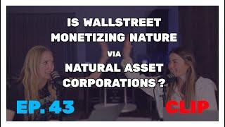 Is Wallstreet Monetizing Nature via Natural Asset Corporations? | Ep. 43 CLIP