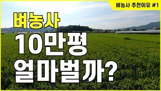 68. 벼농사 10만평 얼마나 벌까? 수익은? 귀농인에게 벼농사를 추천 하는 이유와 성공방법 1부