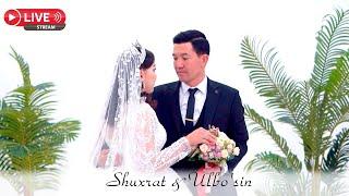 Shuxrat & Ulbo'sin (27.02.2024) Wedding Day