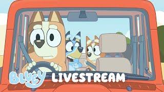 LIVE: Even More Bluey Bonus Bits | Bluey