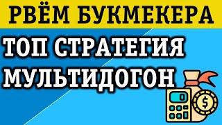 ПРИБЫЛЬНАЯ СТРАТЕГИЯ СТАВОК МУЛЬТИДОГОН ПОРВЕТ БУКМЕКЕРА