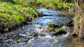 Nature sounds in the forest - water in the river - sleep, meditation, relaxation, mindfulness