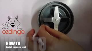 How To Install your Gasket Seal Ring for Nutribullet Magic Bullet & Nutri Ninja