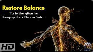 Parasympathetic Power: Simple Steps to Restore Balance and Calm