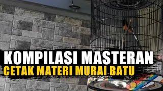 Mencetak Murai Batu Dengan Materi Yang Berkualitas