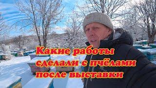 ПРОДЕЛАННЫЕ РАБОТЫ НА НАШЕЙ ПАСЕКЕ ПОСЛЕ ВЫСТАВКИ ПЧЕЛОСЕМЕЙ, СИЛА ПЧЕЛОСЕМЕЙ