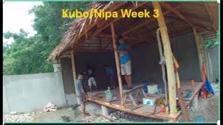 Brief Update on the Kubo/Nipa Hut Build: Start of Week 3.