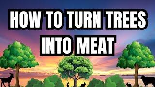 How To Turn Trees Into Meat | Top Five Fodder Trees For Livestock | Foraging For Meat Rabbits