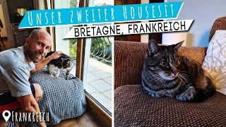 Urlaub in der Bretagne mit Housesitting   Kostenlose Unterkunft