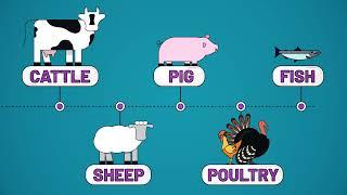 How the Animal Feed sector works in UK agriculture