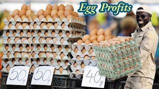 How Much Money I Make From My Egg Sales