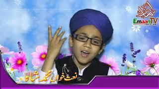 Beautiful Hasbi Rabbi Jallallah Naat for Child Naat Khawan on Emaan TV Pakistan