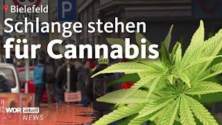 Cannabis Clubs in Deutschland: Erstes legales Gras jetzt auch in NRW | WDR Aktuelle Stunde