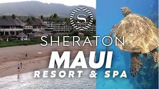 Sheraton Maui Resort & Spa  - Full Review!