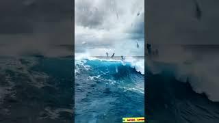 Ocean's Oath of Adventure, Explorer's Vow