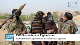 Pajhwok: 50 ISIS terrorists surrender themselves in Afghanistan