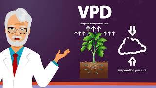 What is Vapour Pressure Deficit? (VPD)