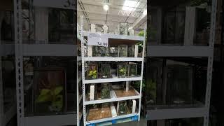 Terrarium at Costco ￼