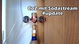 Acht Wochen Co2 mit Sodastream [Update] & Tomatengewächshaus-Crash #vlog