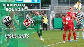 SV Sandhausen / 1. FC Köln | Round 1 | DFB-Pokal