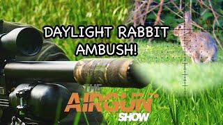 The Airgun Show | Daytime rabbit hunting | Konus Eternity gunsight review