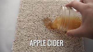 How to Remove Apple Cider Stain | Stain Fu Halloween