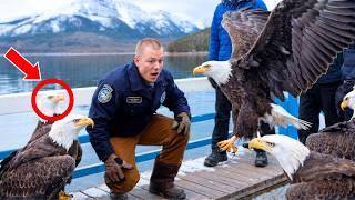 EAGLES FOLLOWED THIS MAN EVERYWHERE—THE SHOCKING REASON LEFT EVERYONE STUNNED!