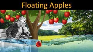 Why do apples FLOAT on water