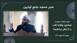 چگونه قلب را آرامش ببخشیم؟ | مولوی انعام‌الله مولوی‌زاده