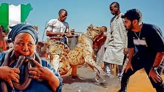 Nigeria Ke Hyena Men – Duniya Ke Sabse Khatarnaak Log! 