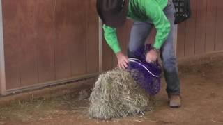 Filling and Hanging a Slow Feed Hay Net