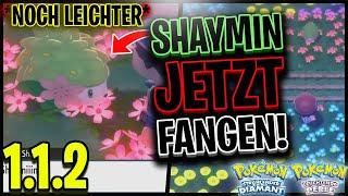 *NOCH LEICHTER* SHAYMIN JETZT FANGEN GLITCH! | Pokémon Strahlender Diamant & Leuchtende Perle