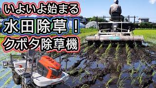 Paddy field weeding "riding type weeder" Kubota rice transplanter NW6S paddy weeder SJ-6EP