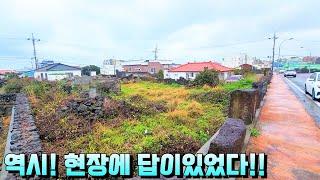 [제주도 부동산경매] 이런건 로드뷰로 확인되지않아요! 실제현장영상(2023타경10230)