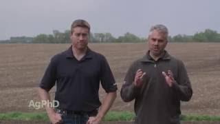 Foliar Feeding #949 (Air Date 6-12-16)