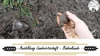 Ausbildung Landwirtschaft - Bodenkunde