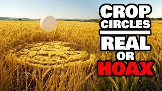 Are Crop Circles Made by Aliens & UFOs? Oliver's Castle Crop Circle Video Debunked! (Deep Dive)